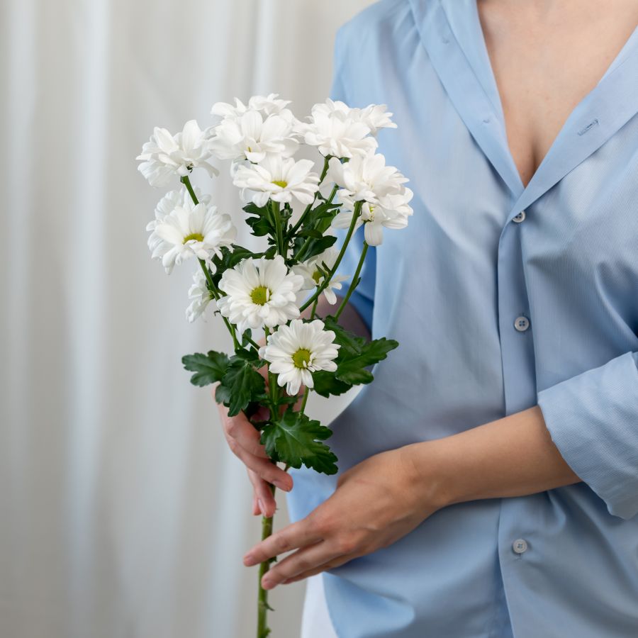 1 хризантема (сорт Бакарди)