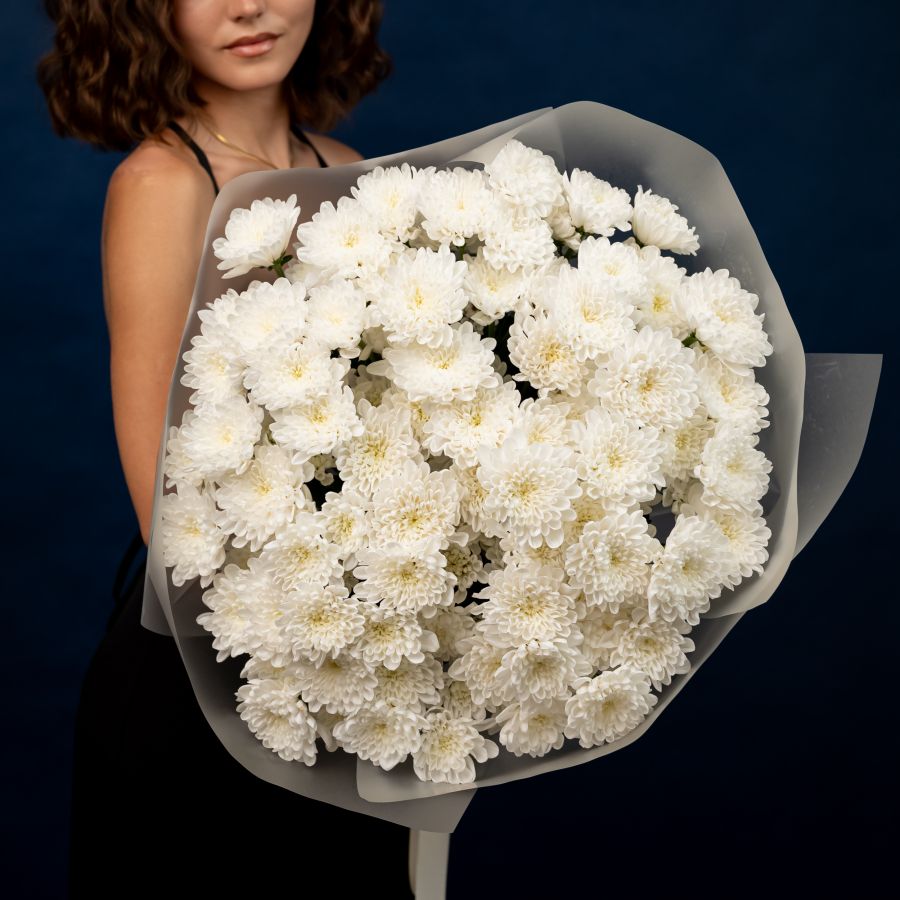 Хризантема (сорт Алтай) 15 шт