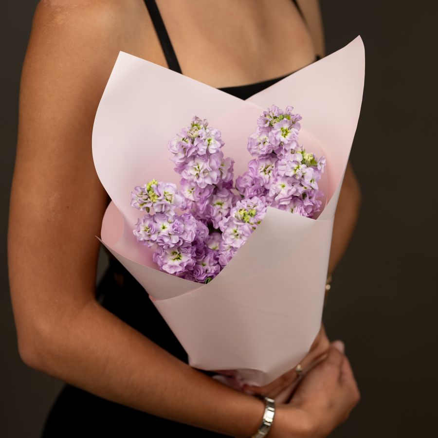 Маттиола 5 шт