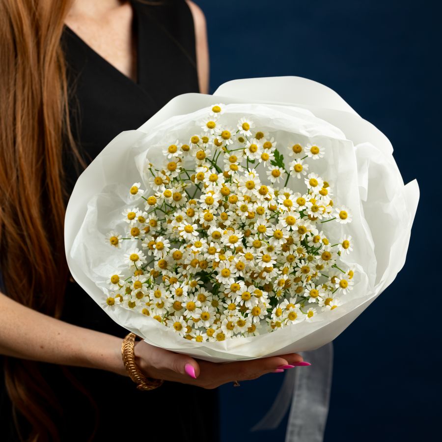 Матрикария 7 шт