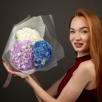 Гортензия 3 шт (микс)