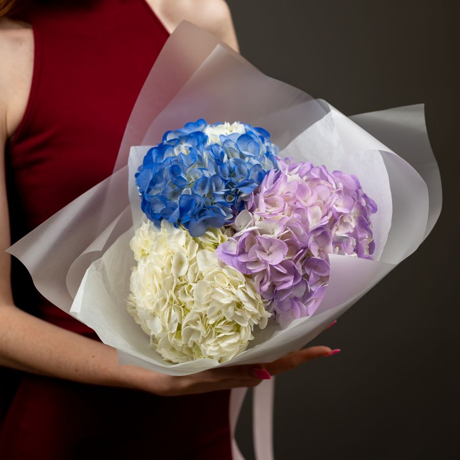 Гортензия 3 шт (микс)