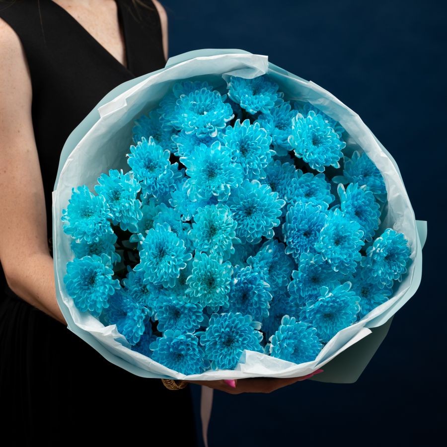 9 голубых хризантем