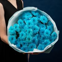 9 голубых хризантем