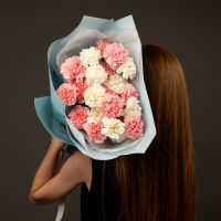 25 диантусов микс