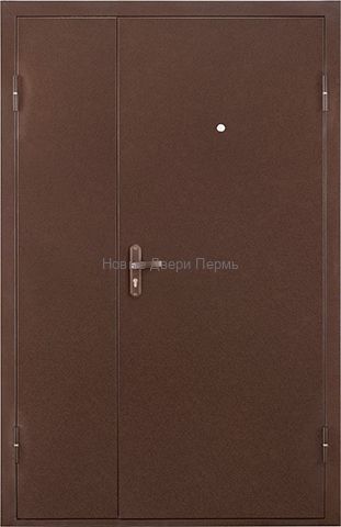 Тамбурная металлическая дверь ПРОФИ DL 1250х2050 мм металл/металл