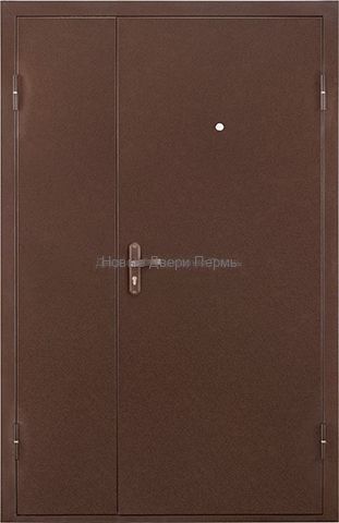 Тамбурная металлическая дверь ПРОФИ DL 1250х2050 мм металл/металл