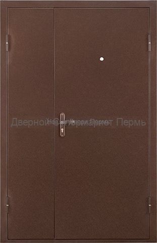 Тамбурная металлическая дверь ПРОФИ DL 1250х2050 мм металл/металл
