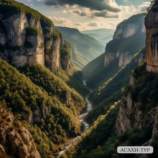 Летний вечер в Гагре, 8 дней