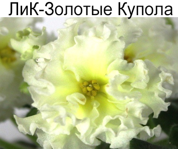 ЛиК-Золотые Купола  (Лазаренко Г.)  НОВИНКА КАТАЛОГА!