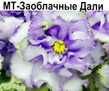 МТ-Заоблачные Дали (Тотиева)  НОВИНКА КАТАЛОГА!