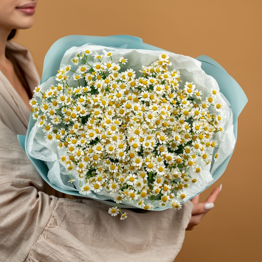 Матрикария (ромашка полевая) в оформлении (15 шт)