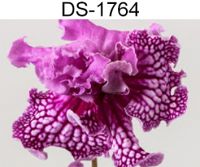 DS-1764