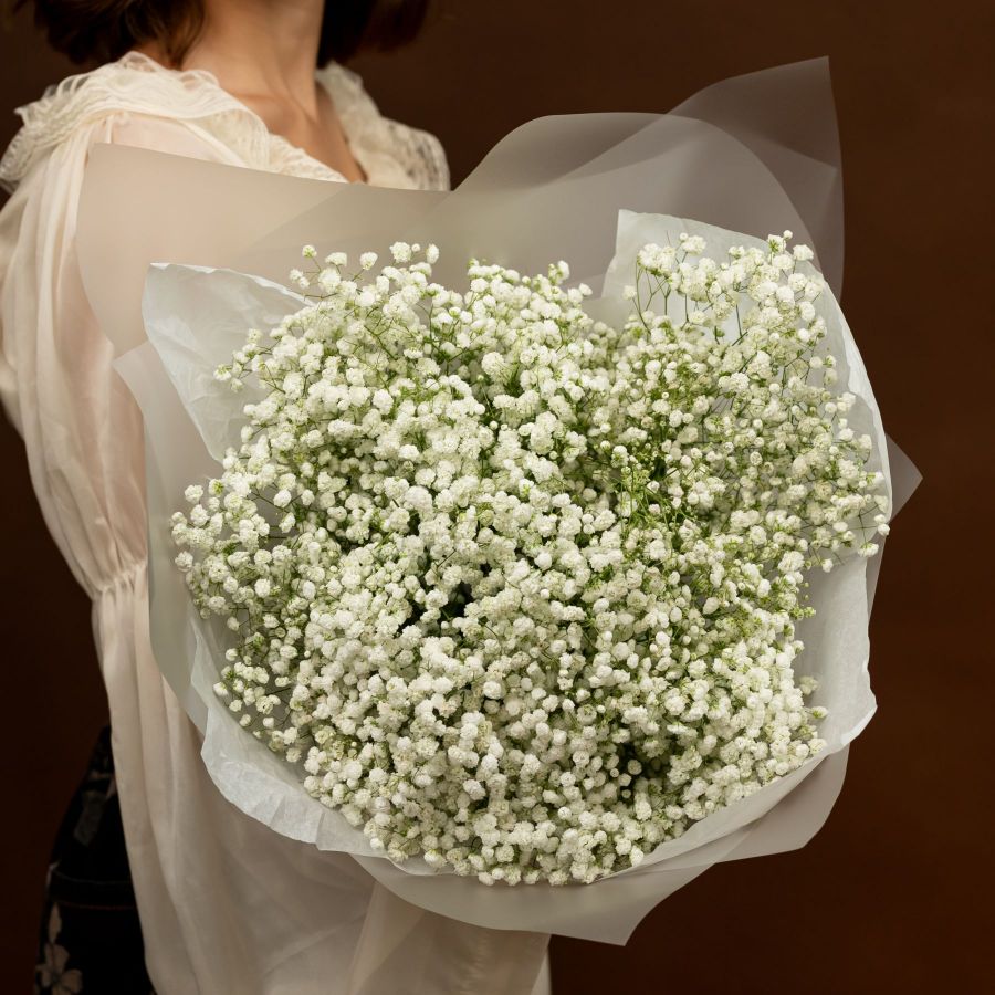 Гипсофила белая от 7 шт