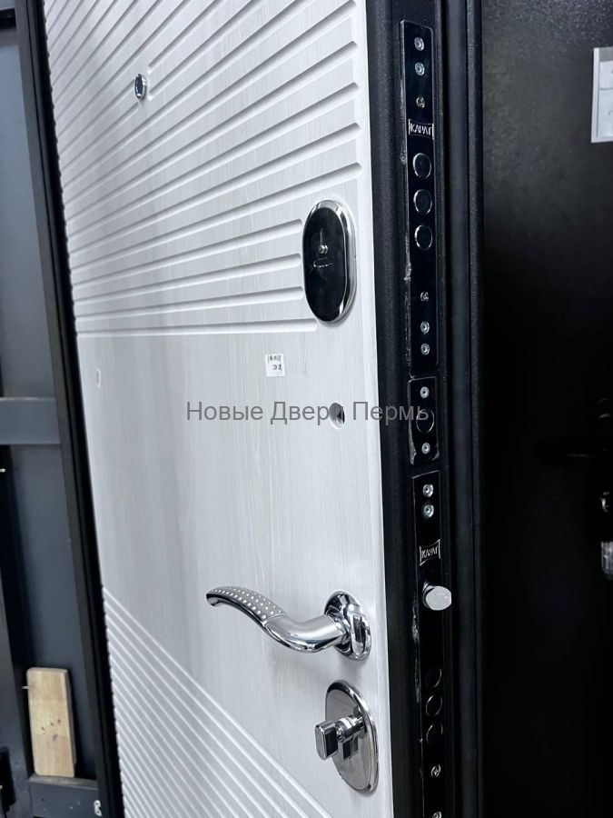 "ТОКИО" Дуб сонома , дверь входная