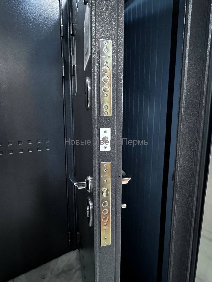 TRUST MASS MP Антрацит букле Ясень ривьера айс стальная дверь