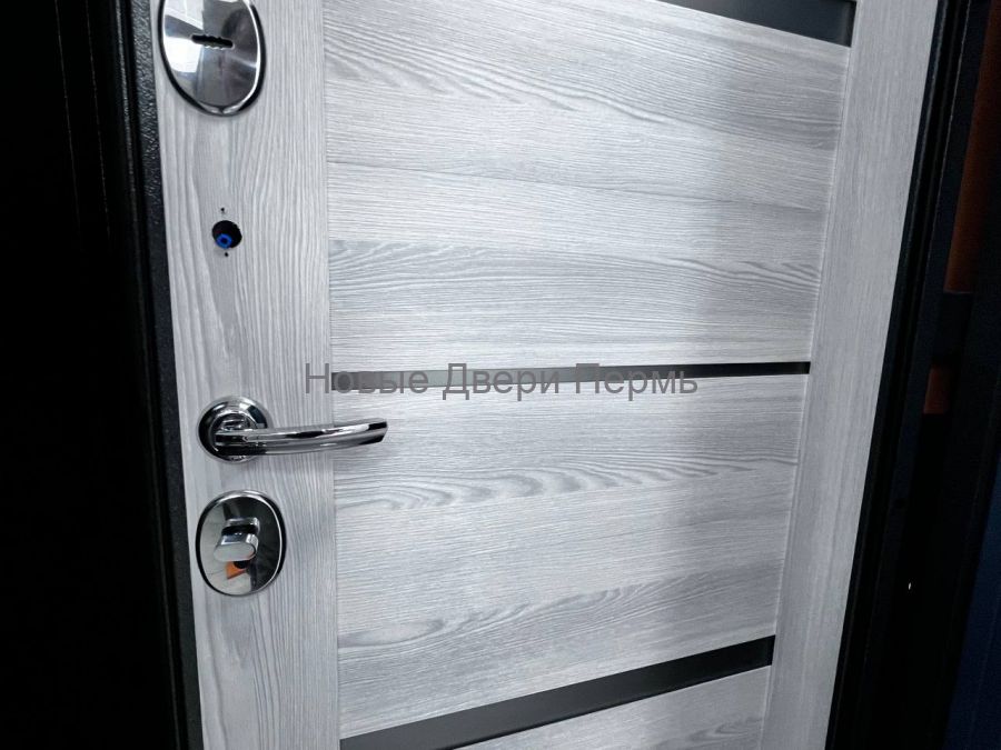 TRUST MASS MP Антрацит букле Ясень ривьера айс стальная дверь