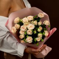 5 кустовых роз сорт Таня