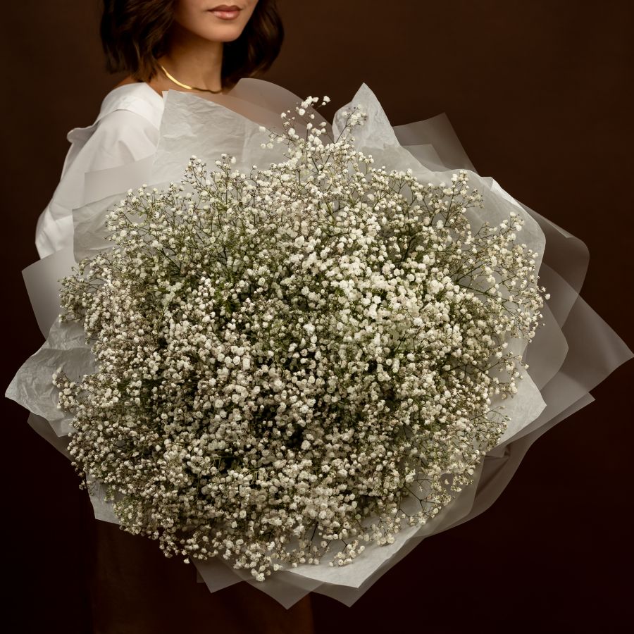 Гипсофила белая 25 шт