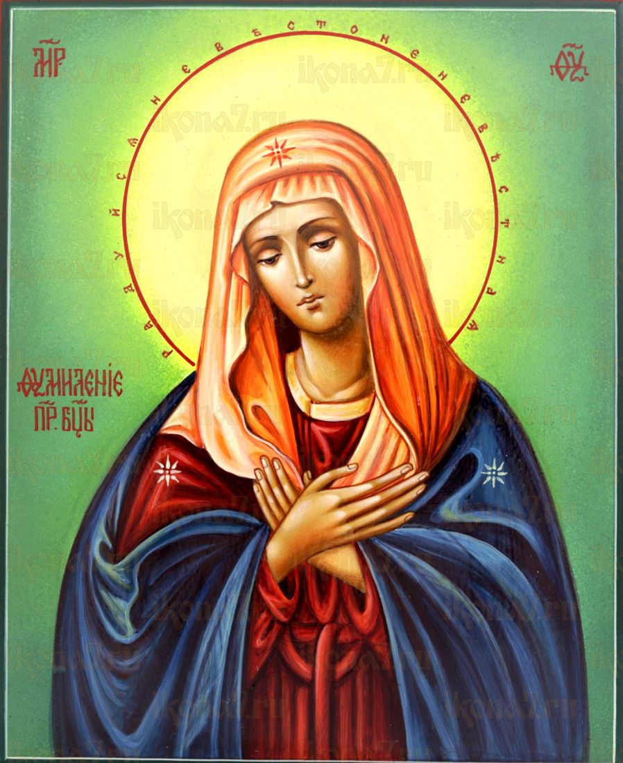 Умиление Божией Матери Дивеевское (UV-печать)(10221)