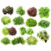 Зелёные культуры №2