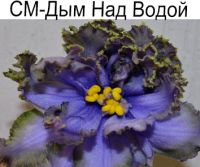 СМ-Дым над Водой