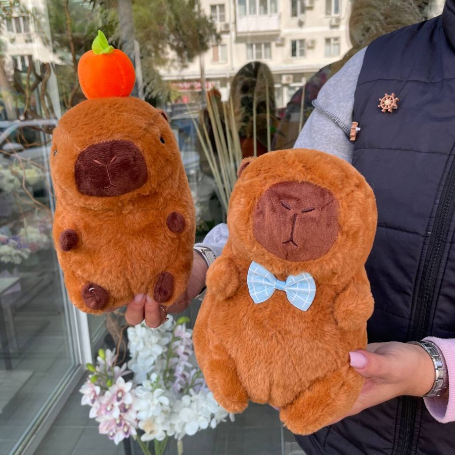 Мягкая игрушка "Капибара"