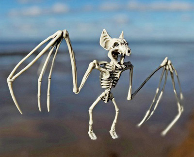 Скелет Летучей Мыши (28*15 см)