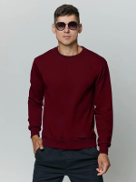 Лонгслив мужской футер двухнитка, Арт. 810 [бордо]
