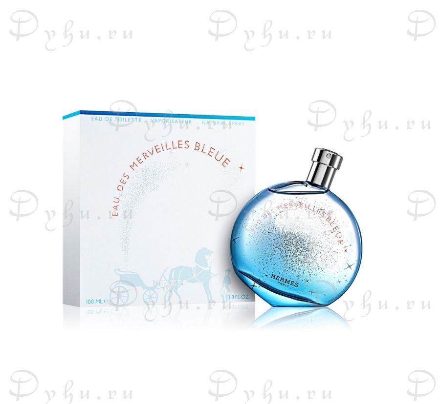 Hermès Eau des Merveilles Bleue