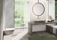 Безободковый подвесной унитаз Catalano Gold&Silver Zero Argento-Bianco 0111550041 55х35 см схема 2