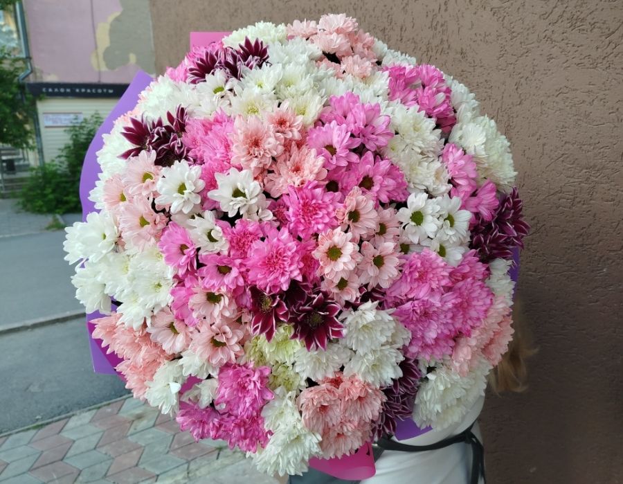 101 кустовая хризантема