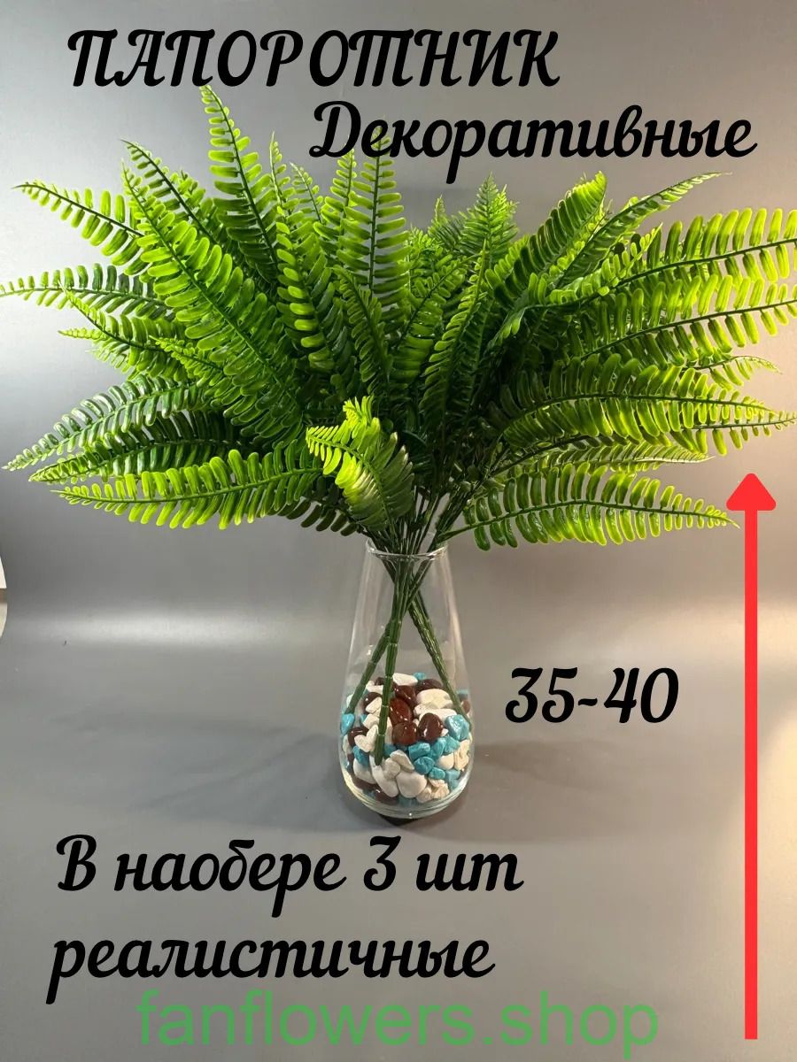 Папоротник лесной 40 шт