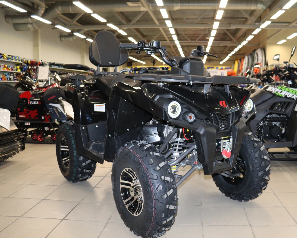 Квадроцикл PROMAX RENEGADE 300 LONG WINCH PRO (2025)