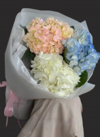 Букет 3 разноцветных гортензии "Мечта"