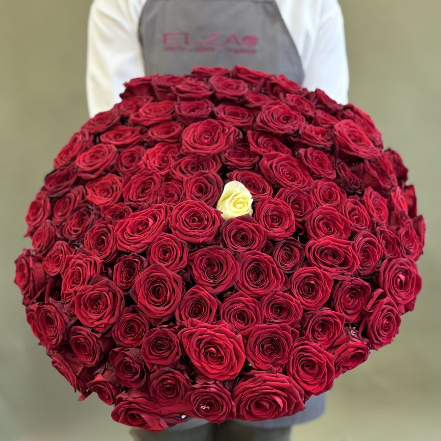 101 роза красные и белая (60см)