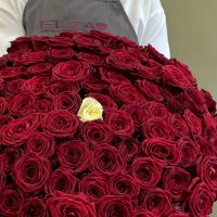 101 роза красные и белая (60см)