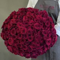 101 красная роза 80см