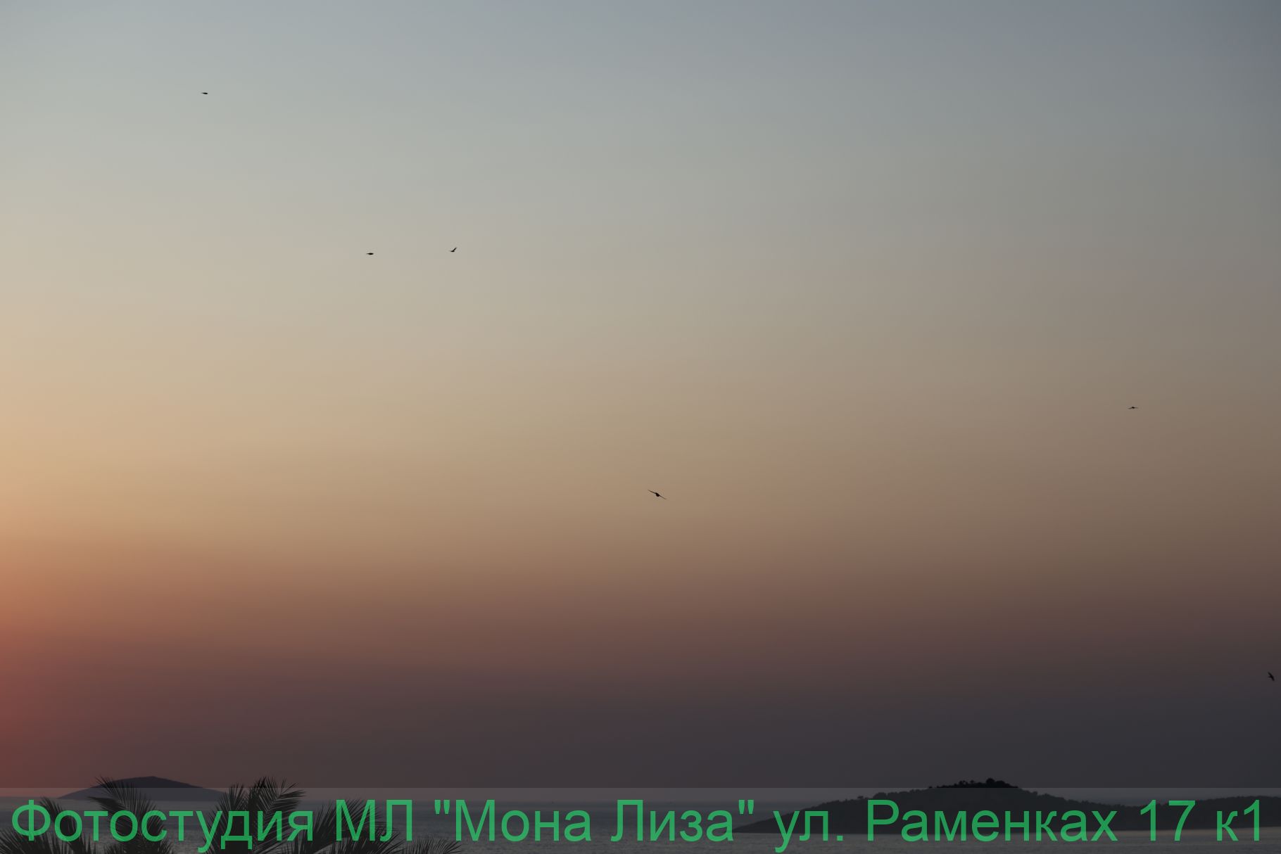 Животные и птицы