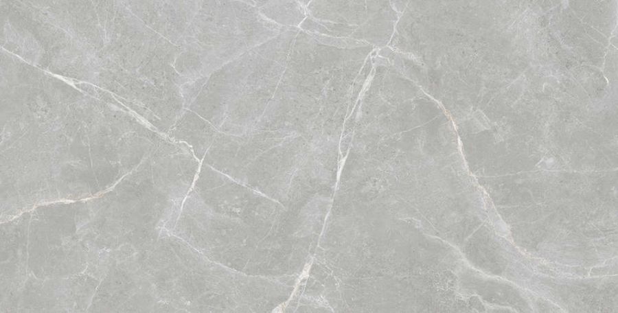 PATRICIA GREY 60x120 MATT