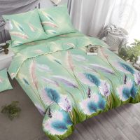 «Астильба» (DE LUXE) постельное белье Поплин Евро