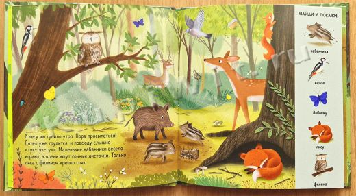 Картинки животных для малышей