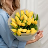 25 желтых тюльпанов