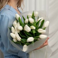 25 белых тюльпанов