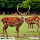 Охота за впечатлениями, 2 дня