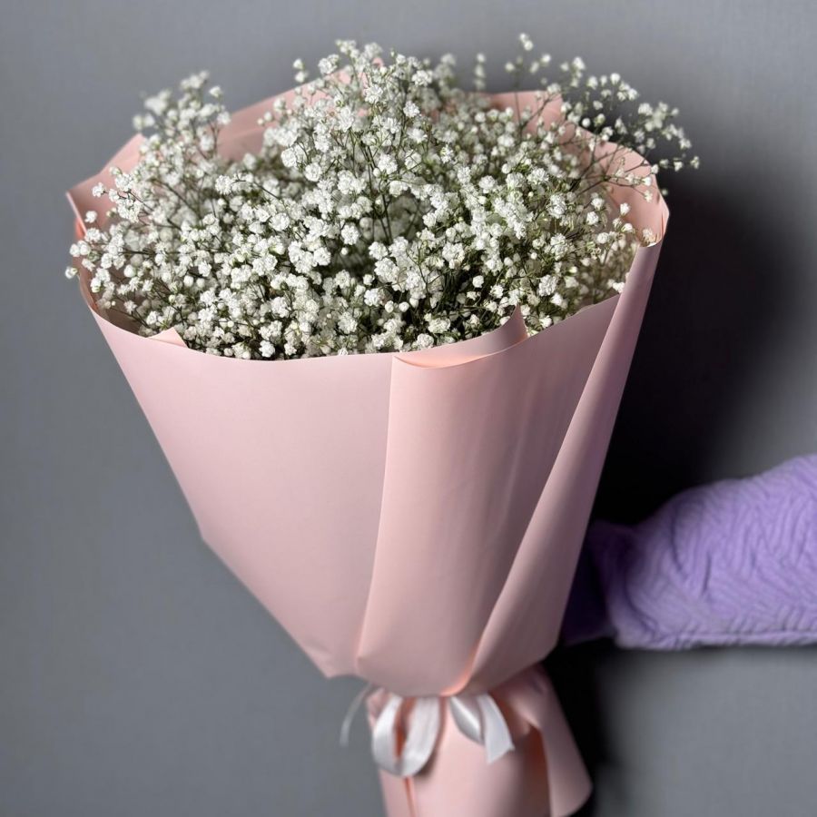 Гипсофила белая 5шт