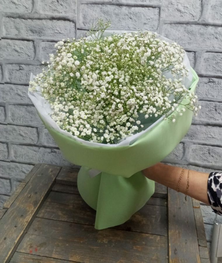 Моно из гипсофилы