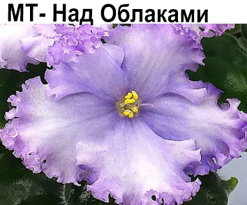 МТ-Над Облаками (Тотиева)