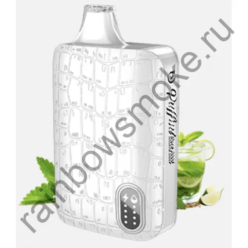 Puffmi Dura 9000 -  Mojito Mint (Мятный Мохито)
