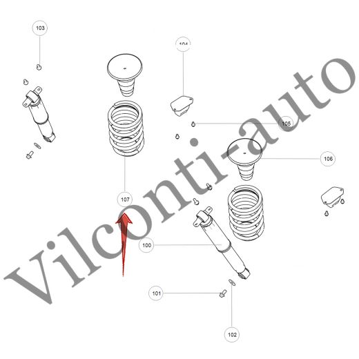 ПРУЖИНА ЗАДНЕГО АМОРТИЗАТОРА L/R TANK 300 2912100XKM01A 100% ОРИГИНАЛ